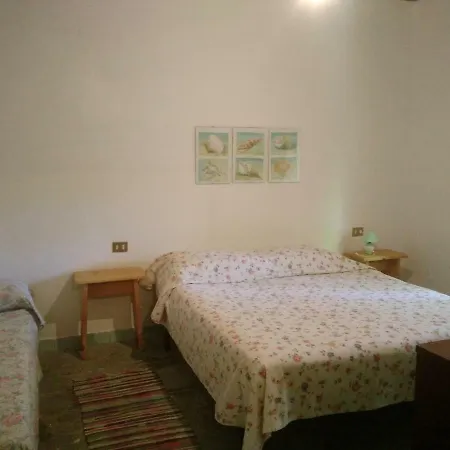 Paola House * 토르톨리